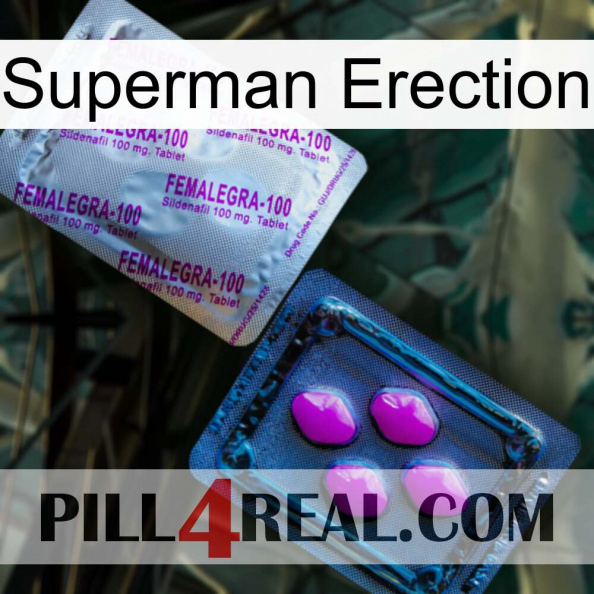 Superman Erection 37.jpg